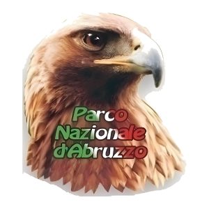 Calamita in resina aquila