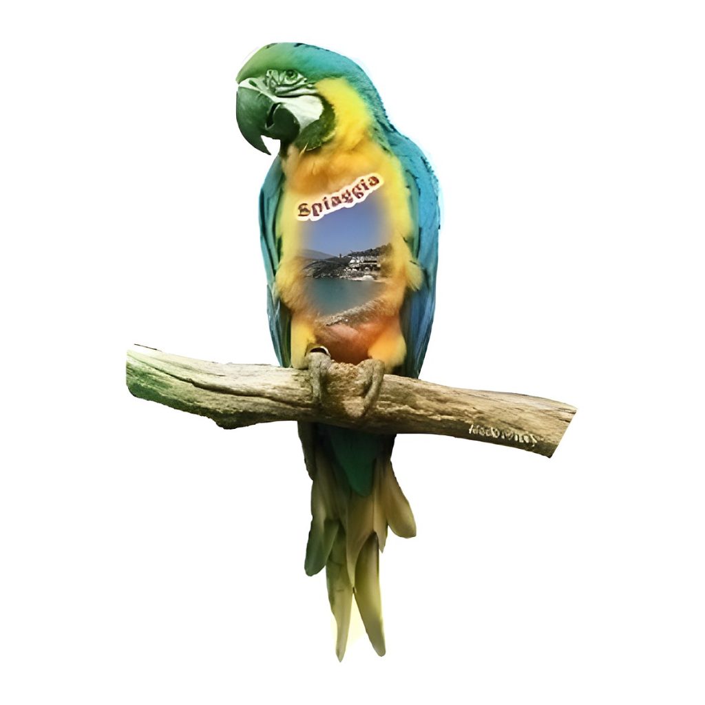 Calamita in resina pappagallo