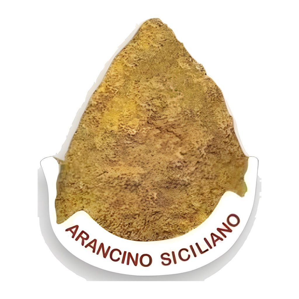 Calamita in resina arancino