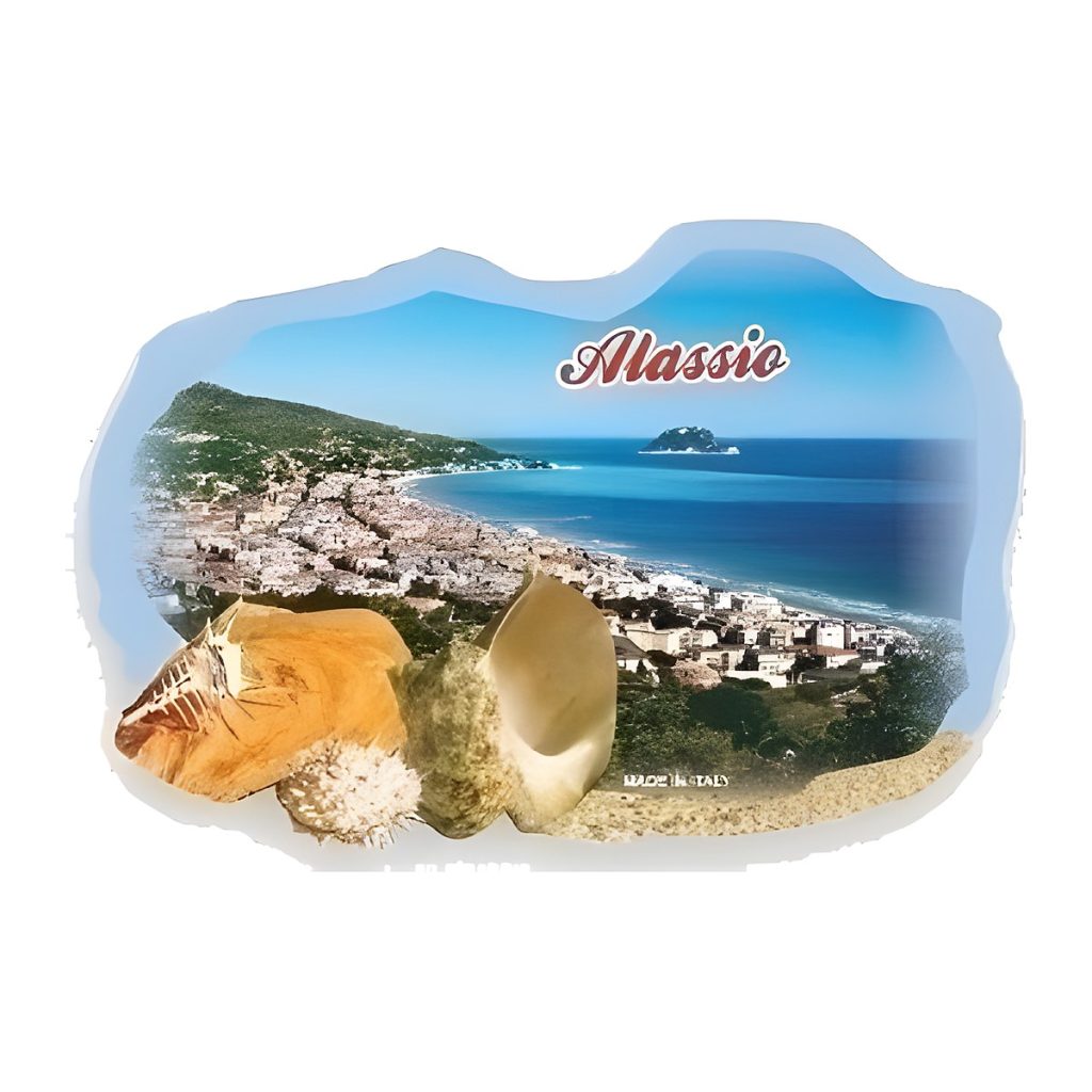 Calamita in resina conchiglia mare 12