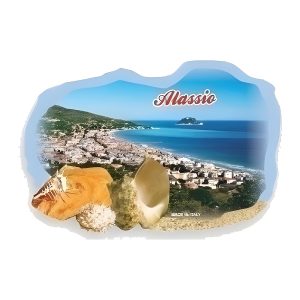 Calamita in resina conchiglia mare 12