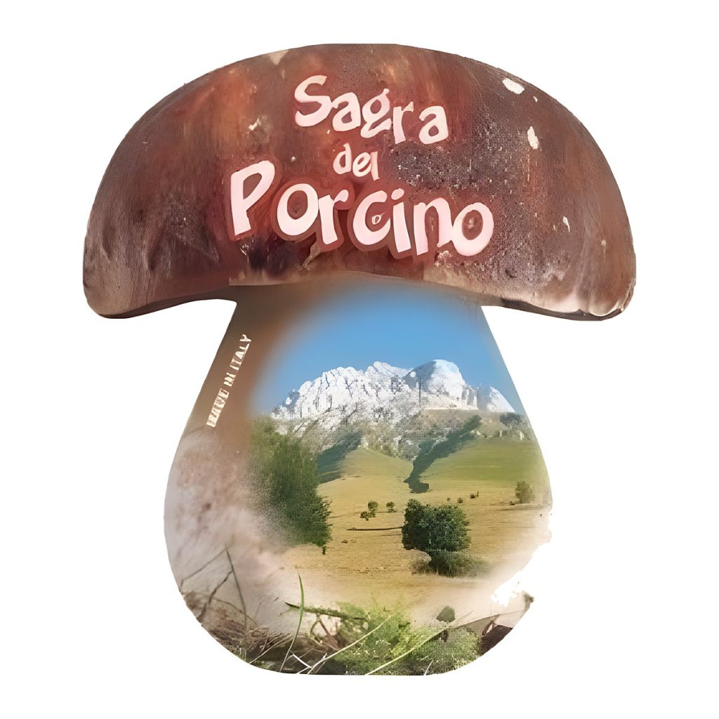 Calamita in resina fungo