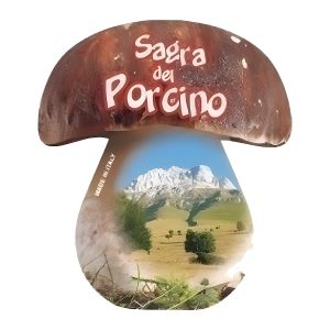 Calamita in resina fungo