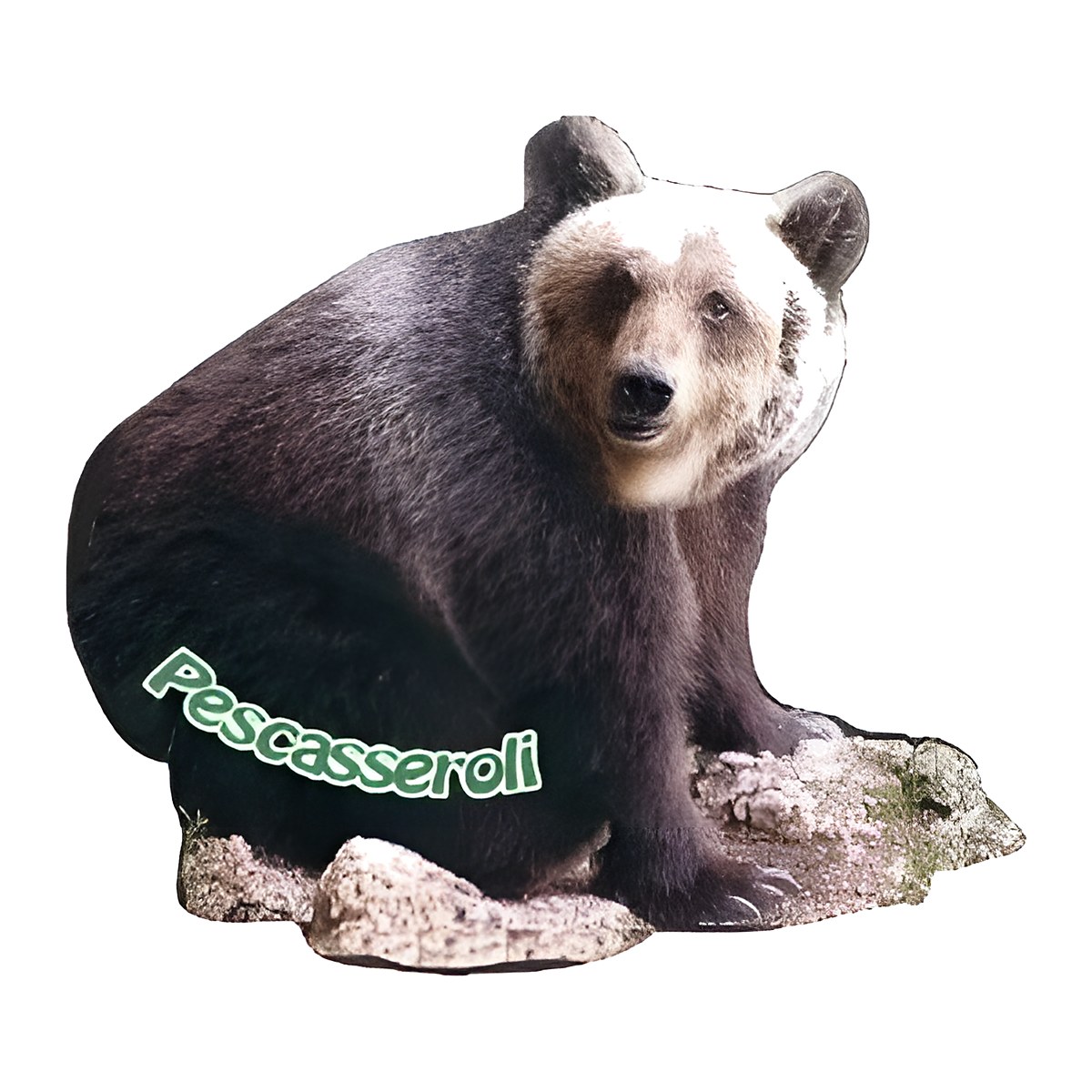 Calamita in resina orso